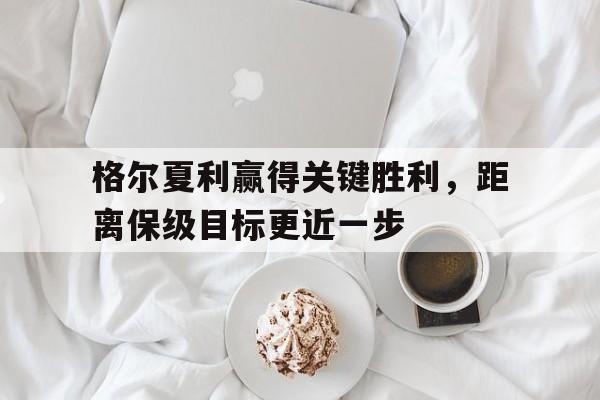格尔夏利赢得关键胜利，距离保级目标更近一步的简单介绍