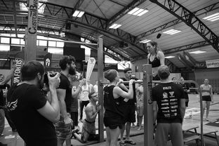 九游体育官网-“2025世界游泳锦标赛：水上芭蕾精彩纷呈，艺术之美与竞技并行”