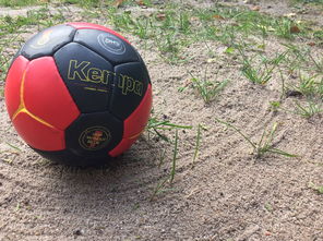 九游娱乐平台-“沙滩赛场燃爆天府新区，沙滩手球和合球上演极限对决”